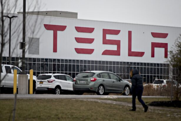 Tesla sues Sweden for blocking deliveries due to workers' strike